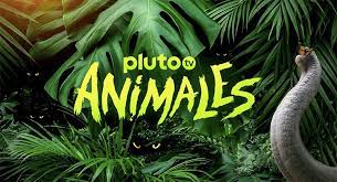 Pluto TV Animales Spain